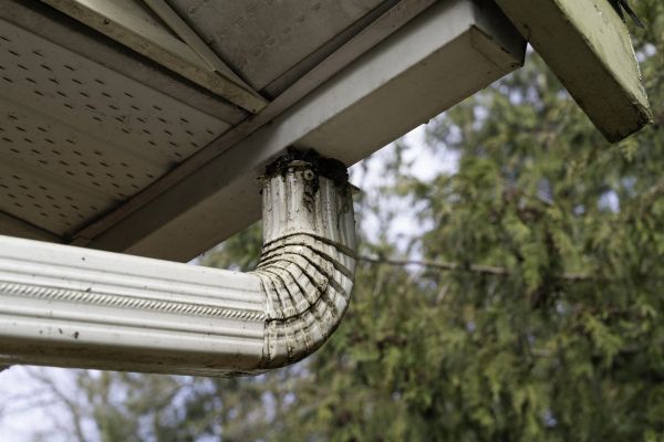 Cost of Roof Drain Replacement in Hopkins